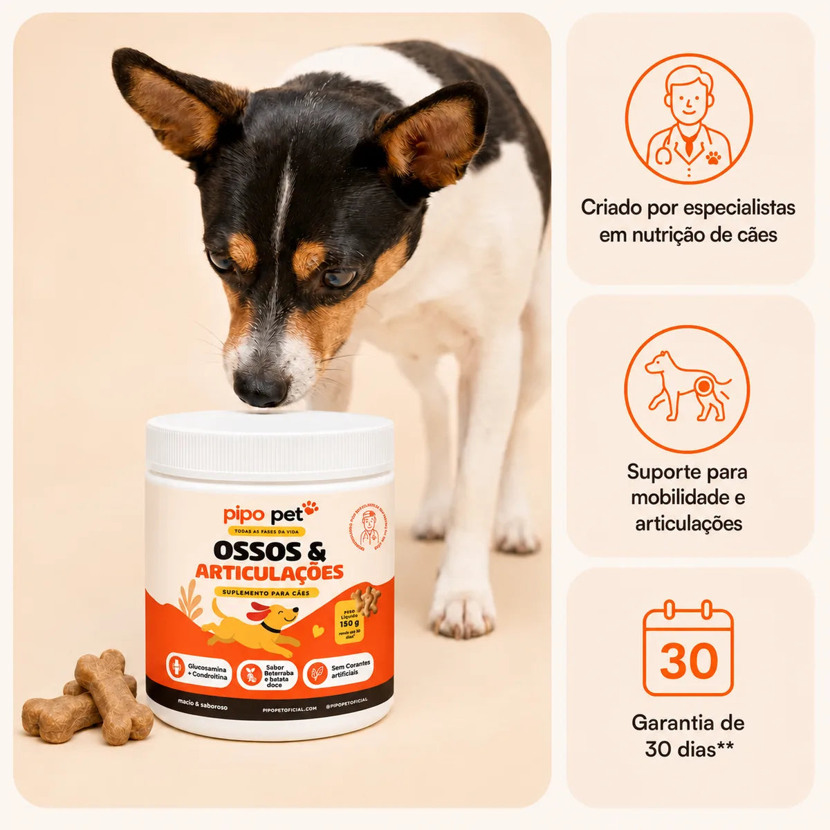 Pote de Ossos & Articulações Pipo Pet com cão cheirando os biscoitos sabor batata-doce e beterraba